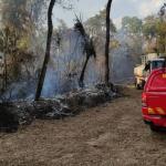 Laboratório da UFMG que desenvolve vacina contra Covid-19 é evacuado após incêndio em mata da UFMG