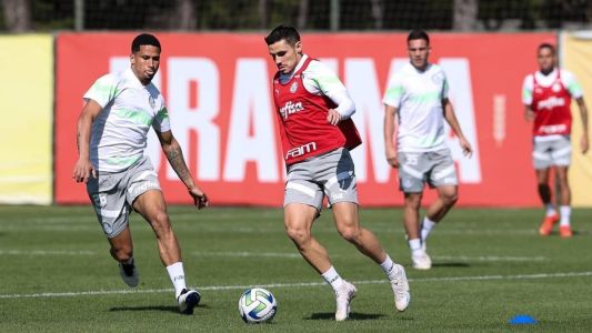 Veiga e selecionáveis retornam e Palmeiras inicia preparação para encarar o Botafogo