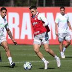 Palmeiras conta com retorno de convocados e trabalha de olho no Botafogo