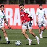 Palmeiras conta com retorno de convocados e trabalha de olho no Botafogo