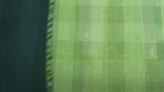 Veja como está o gramado do Mineirão antes de Atlético x Palmeiras