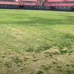 Gramado do palco de Brasil-RS x Atlético apresenta imperfeições; veja vídeo