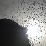 Onda de calor: BH e região pode ter dias mais quentes da sua história até sábado