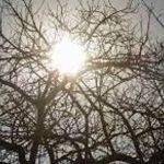 BH está em alerta de tempo seco até a próxima sexta-feira; veja cuidados