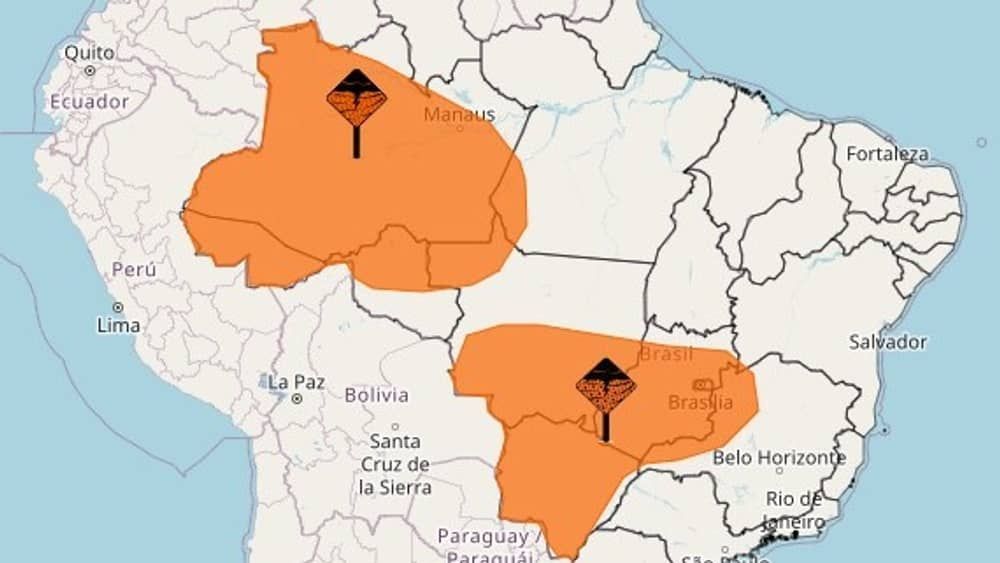 Dez estados e o Distrito Federal estão sob alerta de temporal de até 100 mm