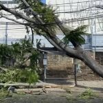 Alerta de vendaval: bombeiros dão dicas de como se proteger de ventos fortes