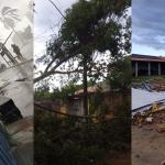 Vídeo: vendaval derruba árvores, arranca telhados e deixa casas sem energia em MG