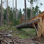 Vendaval pode atingir dezenas de cidades do Paraná nas próximas horas; veja quais  