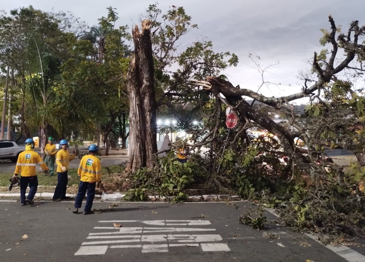 Cidades de MG entram em alerta para rajadas de vento de até 60 km/h; veja a lista