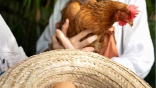 Vendedor nem teve tempo de ajustar tabela e já percebeu novo aumento