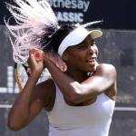 Aos 43 anos, Venus Williams ganha convite para jogar na chave principal de Wimbledon