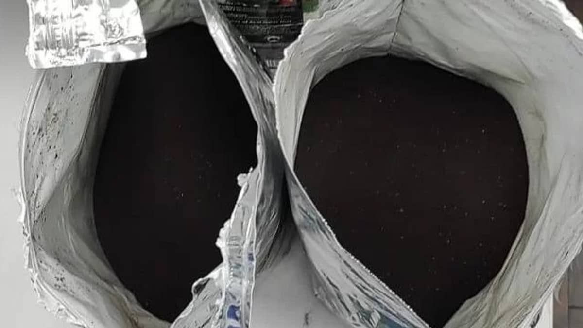 ‘Cocaína preta’: perito da Polícia Civil detalha droga que escapa até de cães farejadores 