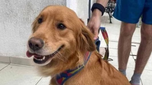 De acordo com a polícia, Soraia teve o focinho levemente ferido e passa bem.