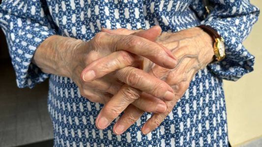 De janeiro a maio de 2023, o Brasil contabilizou 53 mil denúncias e mais de 300 mil violações