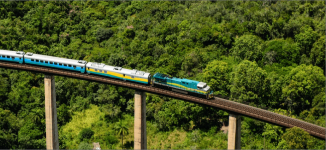 Trem amarelo, azul e prata da Vale em viagem passando por trilhos em uma ponte ferroviária suspensa com mata ao fundo