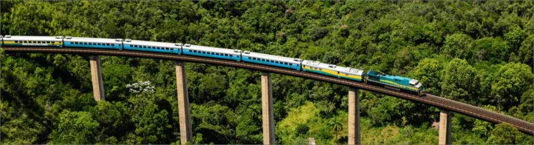 Trem amarelo, azul e branco passando por uma estrada ferroviária com mata ao fundo e em baixo