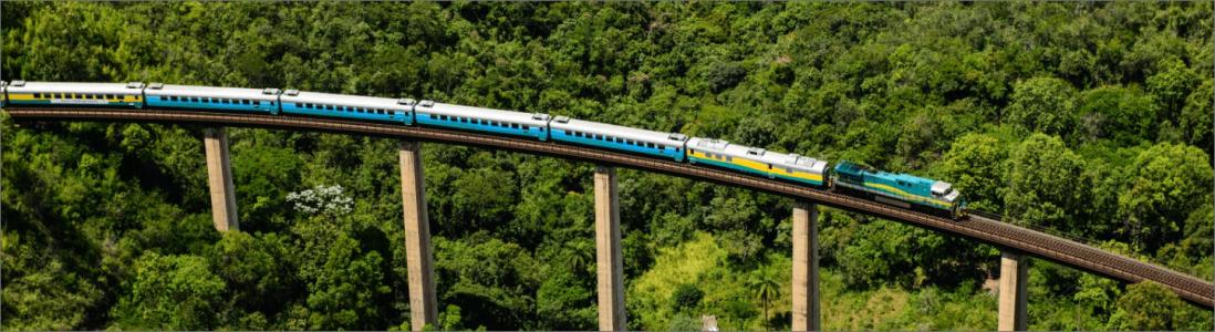 Trem amarelo, azul e branco passando por uma estrada ferroviária com mata ao fundo e em baixo
