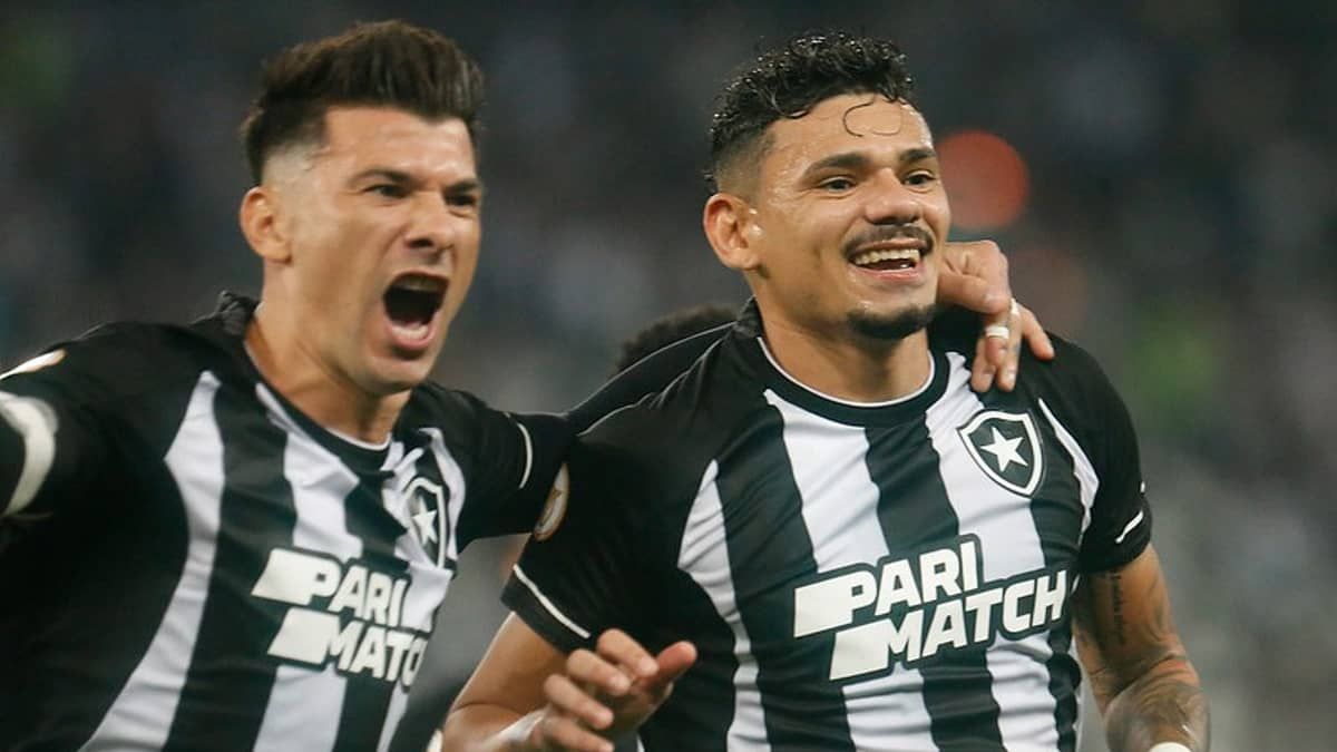 Botafogo 2 x 0 Fortaleza: gols e melhores momentos do jogo do Brasileiro
