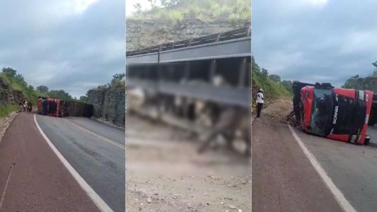 Vídeo: carreta com gado tomba e interdita a BR-365 no Norte de Minas