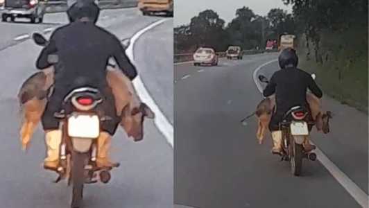 Vídeo foi gravado na rodovia federal Fernão Dias