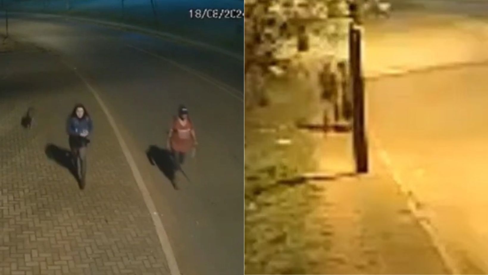 Vídeo: Homem é preso suspeito de estuprar e matar mulher após arrastá-la para matagal