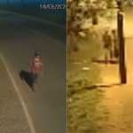 Vídeo: Homem é preso suspeito de estuprar e matar mulher após arrastá-la para matagal
