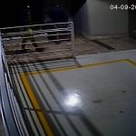 Vídeo: trio entra no prédio do Santo Antônio, Centro-Sul de BH, e furta bicicleta