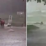 Vídeo: homem tenta segurar moto durante chuva e é levado pela enxurrada em Minas