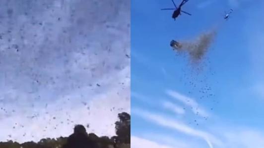 Vídeo mostra pessoas correndo em direção ao dinheiro