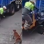 Vídeo: Pitbull escapa e ataca garis durante coleta de lixo na Zona Sul de SP