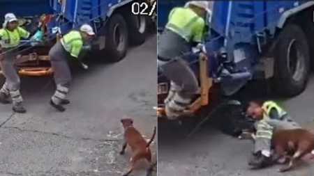 Vídeo: Pitbull escapa e ataca garis durante coleta de lixo na Zona Sul de SP