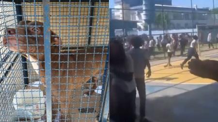 Vídeo mostra momento da invasão de pitbull em escola da Zona Oeste do Rio.