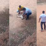 Vídeo: PM age rápido e salva cachorro que sofreu mal súbito em campo de futebol, na Grande BH