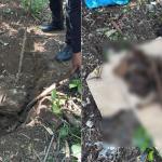 Vídeo: polícia descobre cemitério clandestino no Rio de Janeiro usado para ocultar corpos