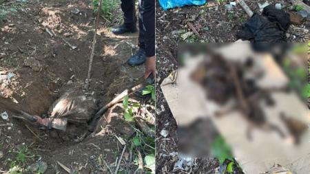 Vídeo: polícia descobre cemitério clandestino no Rio de Janeiro usado para ocultar corpos