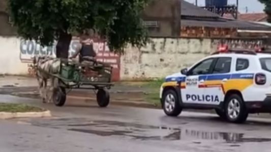 Imagens que mostram policial conduzindo uma carroça viralizaram nas redes sociais e intrigaram internautas