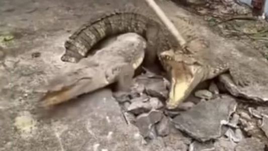 Vídeo tem quase um milhão de visualizações