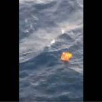 Vídeo: veja resgate do 6º náufrago de SC, encontrado preso a boia em alto-mar