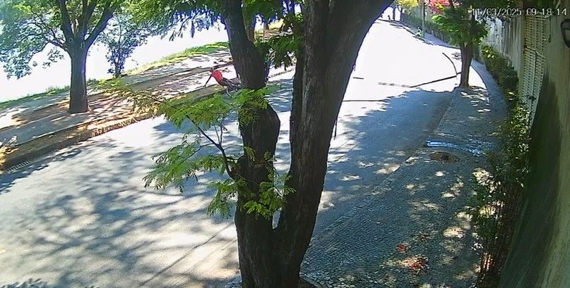 Vídeo mostra assalto a ciclista na Lagoa da Pampulha em BH
