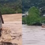 Vídeo: chuva arrasta casas, interdita rodovias e coloca SC em emergência
