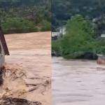 Vídeo: chuva arrasta casas, interdita rodovias e coloca SC em emergência