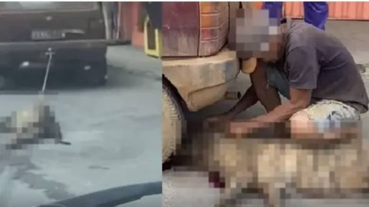 Vídeos que flagraram a cadela sendo arrastada pela avenida Amazonas viralizaram pelo país