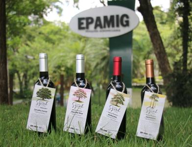 Ao explorar novas técnicas de elaboração, a Epamig lança o "Cuor", um vinho Syrah de colheita de inverno.