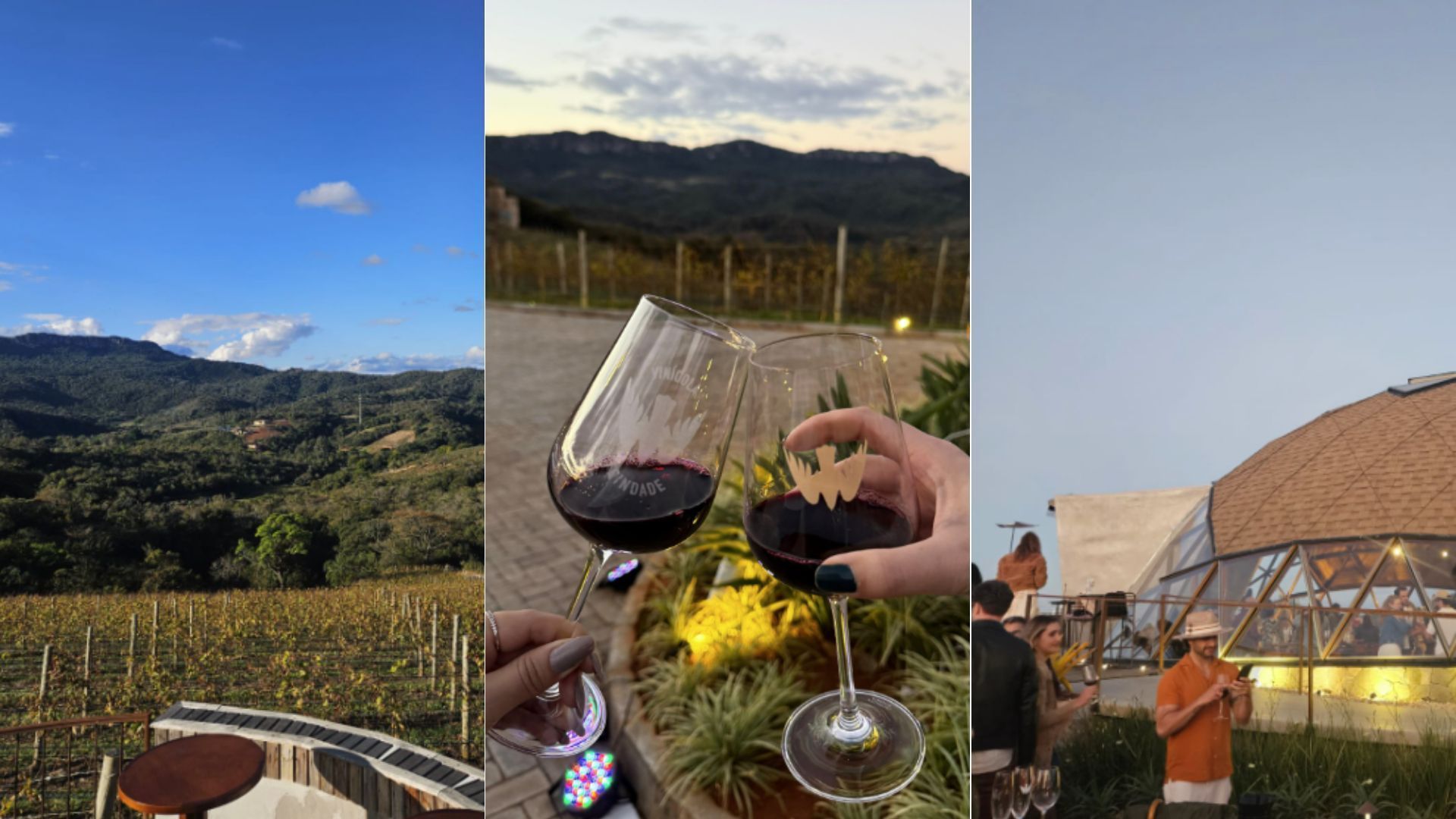 Conheça a Vinícola Trindade, em Bichinho, que lançará seus primeiros vinhos este ano