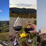 Conheça a Vinícola Trindade, em Bichinho, que lançará seus primeiros vinhos este ano
