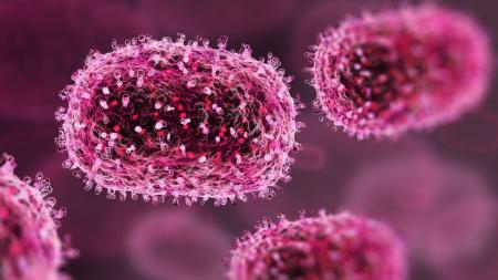 Mpox: Brasil ultrapassa mil casos da doença em 2024 | CNN Brasil