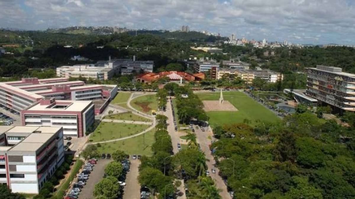 UFMG se posiciona sobre denúncia da Stock Car BH sobre corte de árvores no Campus Pampulha