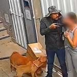 Empresária vítima de assaltantes que se passaram por entregadores diz que filha se trancou no banheiro