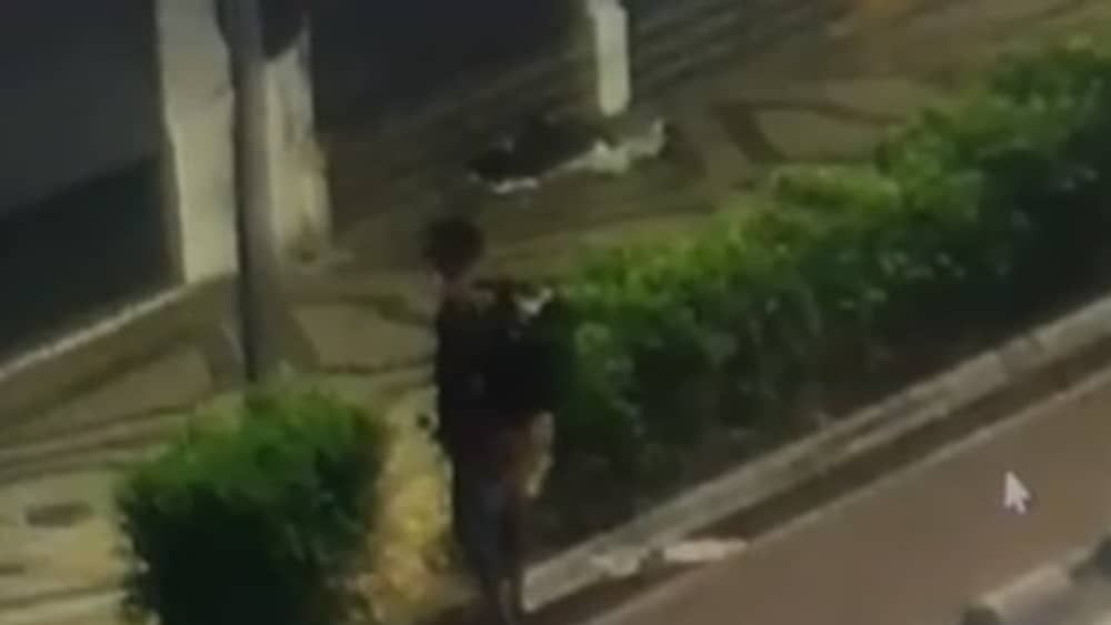 Vídeo mostra morte de morador em situação de rua com pedrada no Centro de BH
