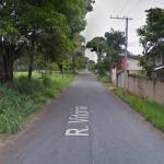 Seis pessoas são socorridas após ataque de enxame de abelhas em Betim